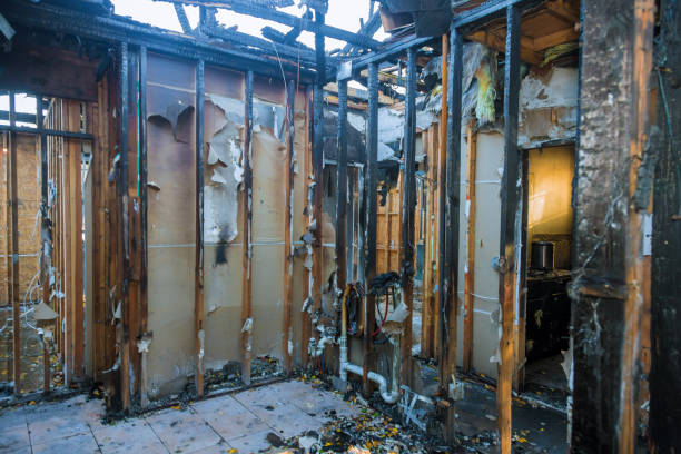 Professional Fire Damage Assessment technician working in Brinklow, MD